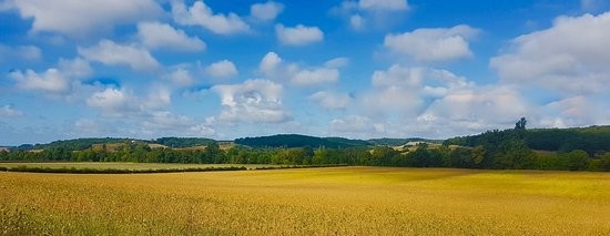 campagne-gersoise.jpg