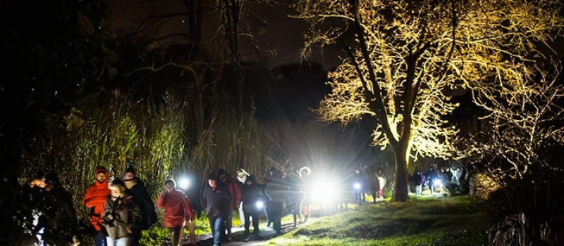 Des fauves dans le bois de Besmaux !