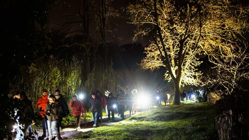 Des fauves dans le bois de Besmaux !