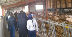 sortie-ferme-la-pairolle-secondes-professionnelles-cgea-et-sapat-