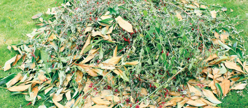 Nouveau à Vic-Fezensac : mise en place d’un service de ramassage des déchets verts et des encombrants