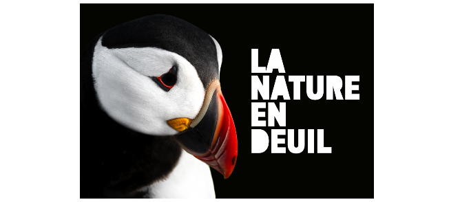Capture d’écran 2025-03-15 000147.png