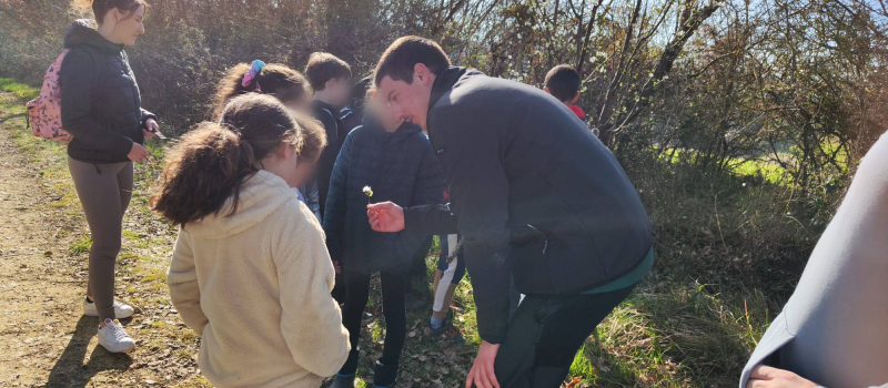 Les BTS  GPN ont proposé une animation nature à Lasséran : l’école primaire se met au vert !
