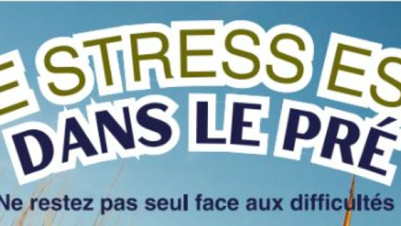 Soirée débat théâtral : Le stress dans le pré