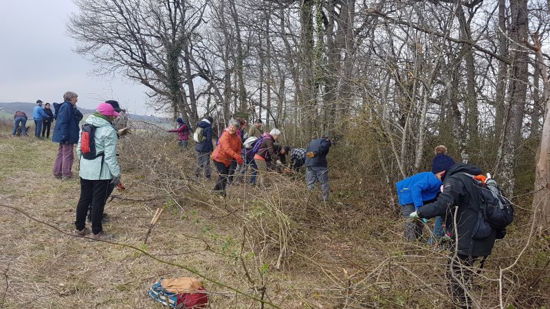 Réhabilitation d'un chemin rural: une mobilisation réussie
