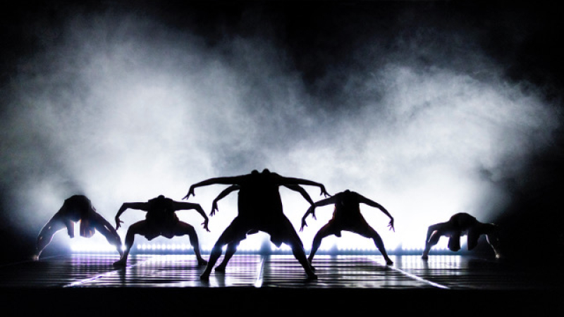 Une compagnie contemporaine en mouvement