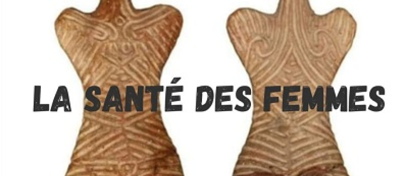 Jeudi 11 avril à  19h à "L'Ouverture" : conférence de l'Association Pistil