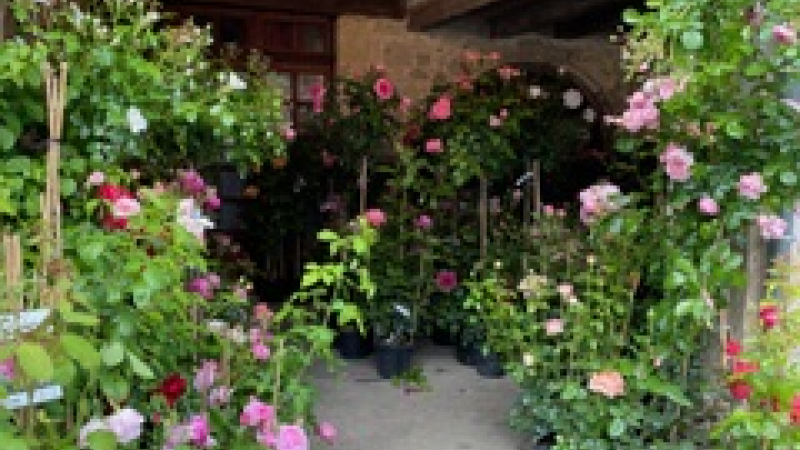 Fourcès en fleurs