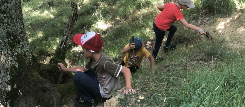Des séjours d'été pour vos enfants