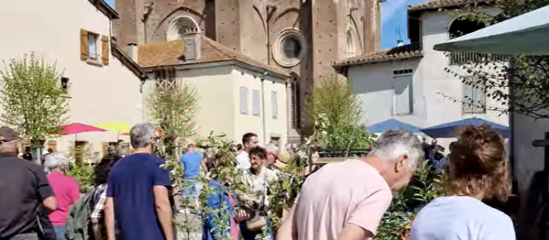 Simorre en fleurs : un marché printanier d’exception