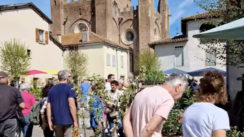 Simorre en fleurs : un marché printanier d’exception