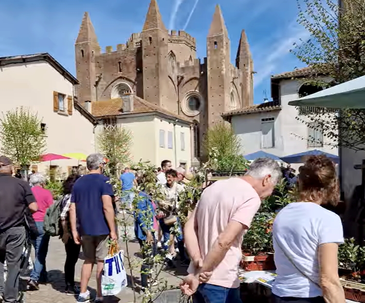 Marché fleur Simorre.jpg