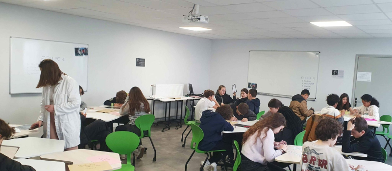 Les activities les plus insolites de la semaine