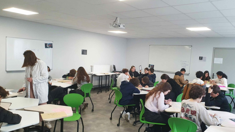 Les activities les plus insolites de la semaine