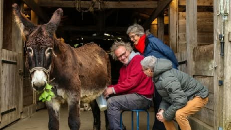 L' Asinerie d'Embazacouvre ses portes