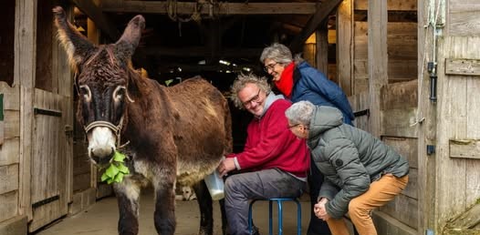 488618619_1153367246800586_8744160865358737573_n.jpg