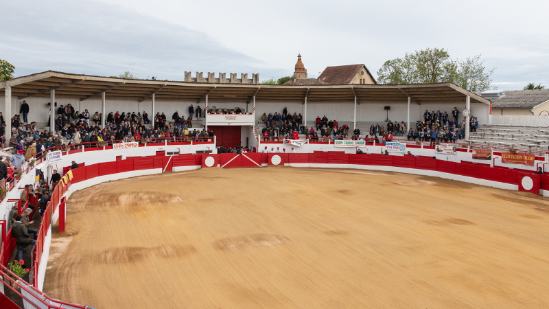 Novillada non piquée à Aignan