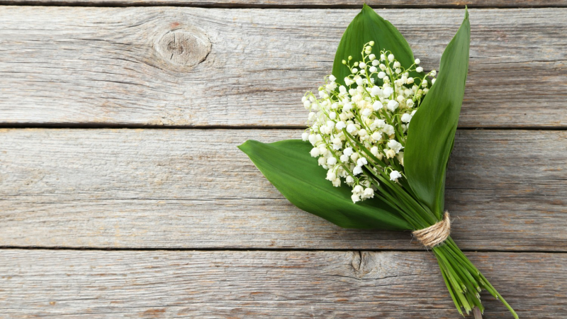 Dispositions relatives à la vente de muguet sur la voie publique