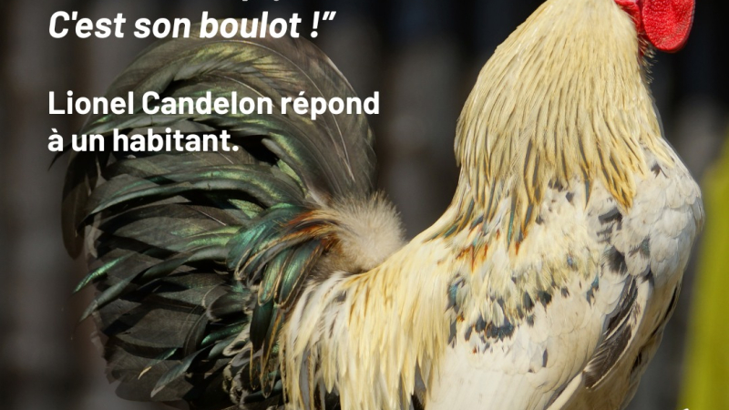 " Vous débarquez à la campagne et vous vous étonnez qu'il y ait… de la campagne ! "