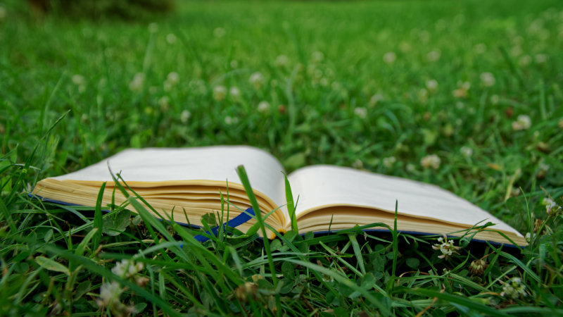 La 3ème édition des « Lectures printanières » approche