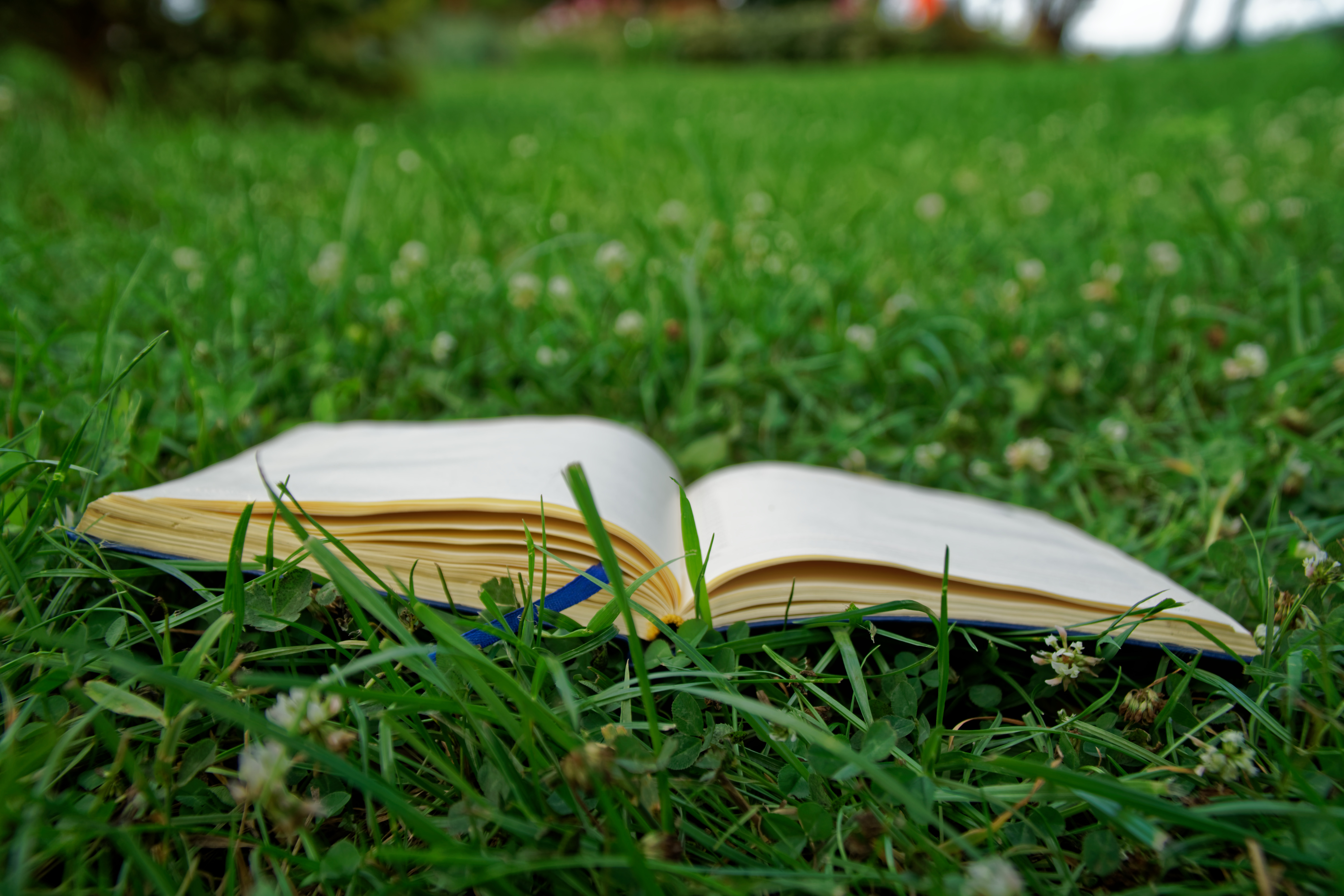 notebook-green-grass.jpg