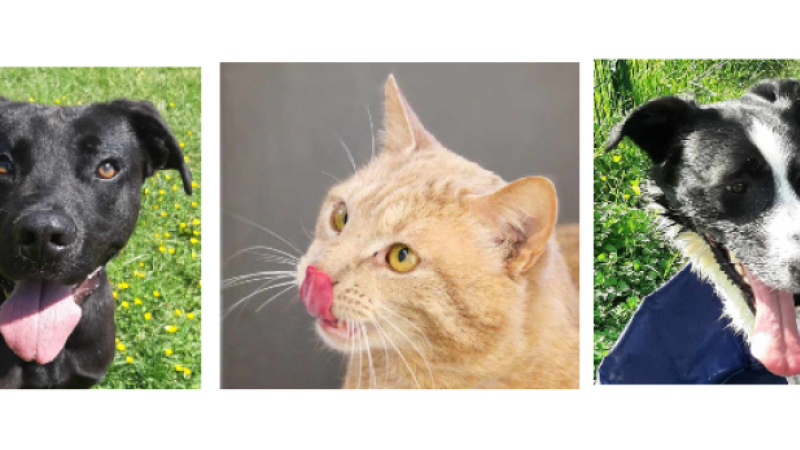 Les trois petits jeunes de la semaine !
