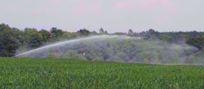 Agriculture, irrigation et politiques : une trahison aux paysans après une année de guerre !