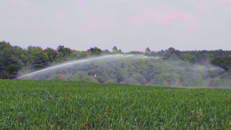 Agriculture, irrigation et politiques : une trahison aux paysans après une année de guerre !