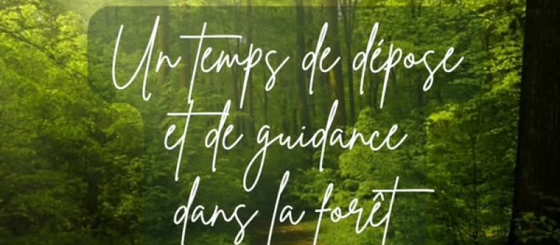 Un temps de dépose et de guidance en forêt