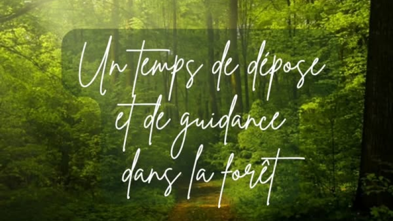 Un temps de dépose et de guidance en forêt