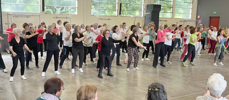 La gymnastique volontaire fédère les seniors du Gers dans une journée conviviale et active