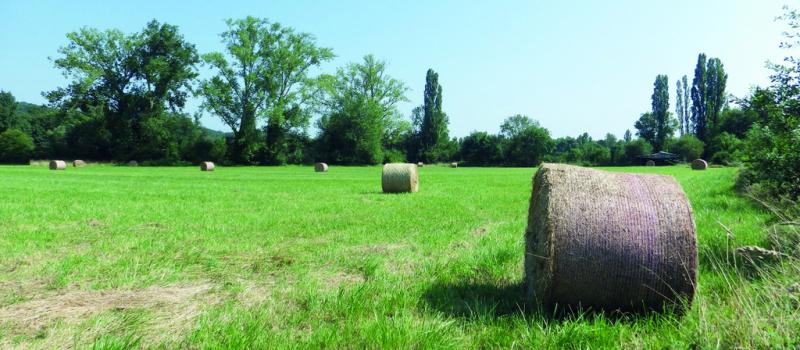 Plus de 1,2 M€ de la Région pour soutenir l’installation des agriculteurs en Occitanie