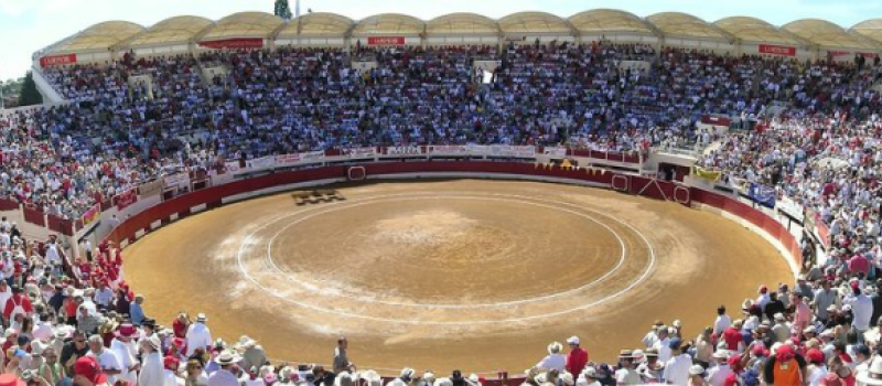 Feria del toro 2025 : 23e corrida concours dimanche 8 juin à 11 h