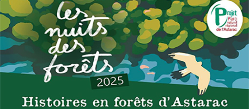 Les Nuits des forêts