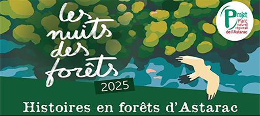nuits forets bb.jpg