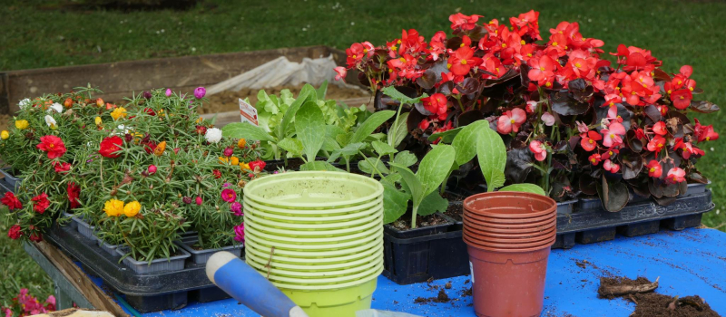 Fleurance célèbre l’environnement avec « Nature en Fête » !