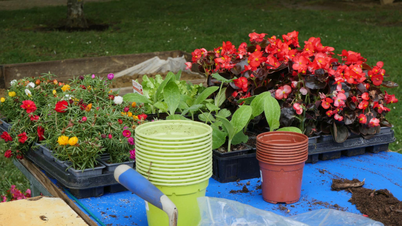 Fleurance célèbre l’environnement avec « Nature en Fête » !
