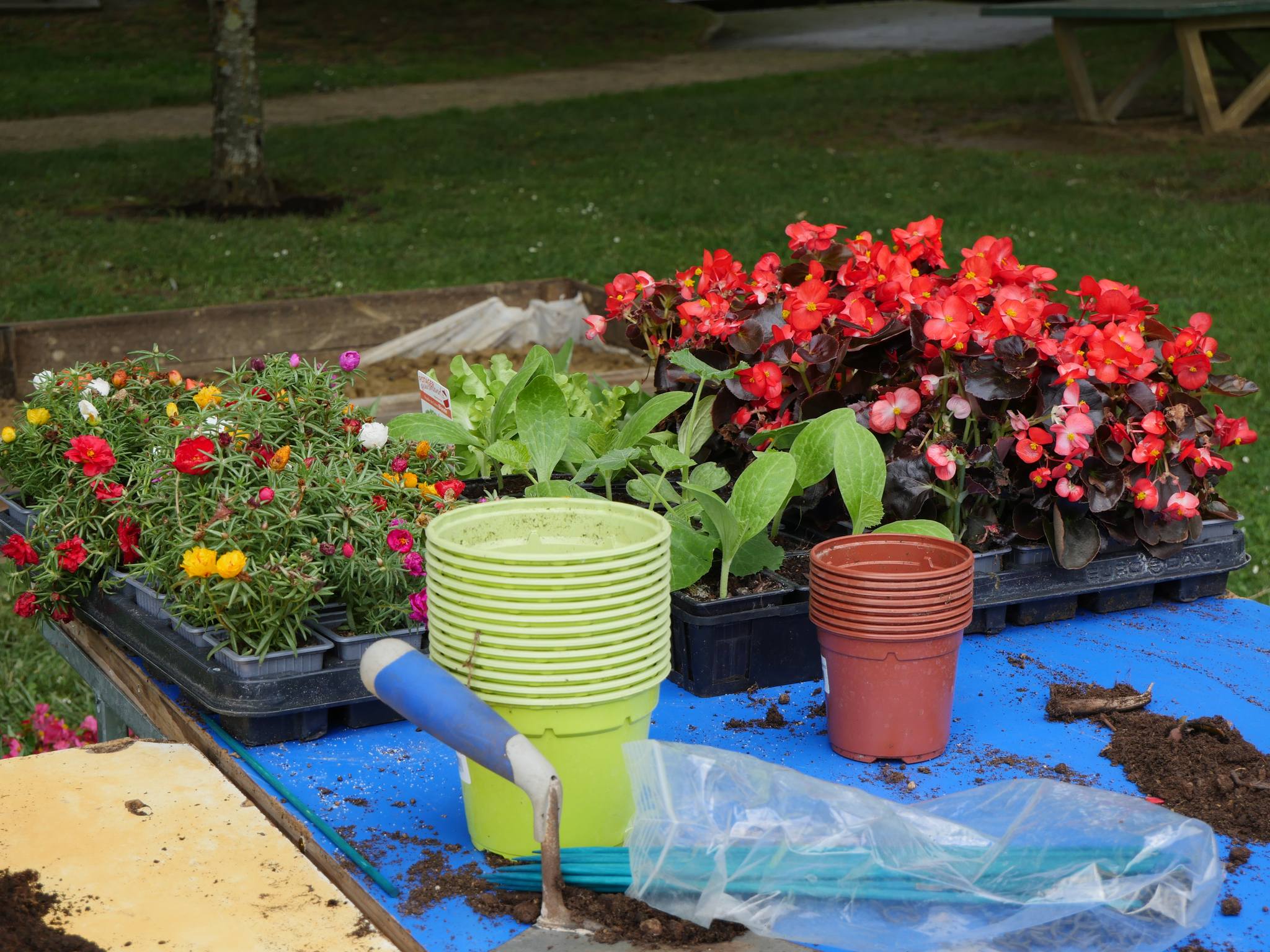 Nature en fete 2 - Mairie de Fleurance.jpg