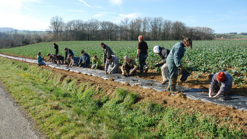 La Gascogne Toulousaine soutient la plantation sur son territoire !!