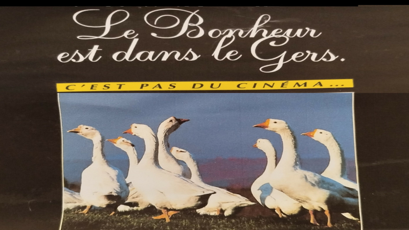 Le comite départemental du tourisme Gers : 50 ans de passion et d'engagement au service du tourisme gersois