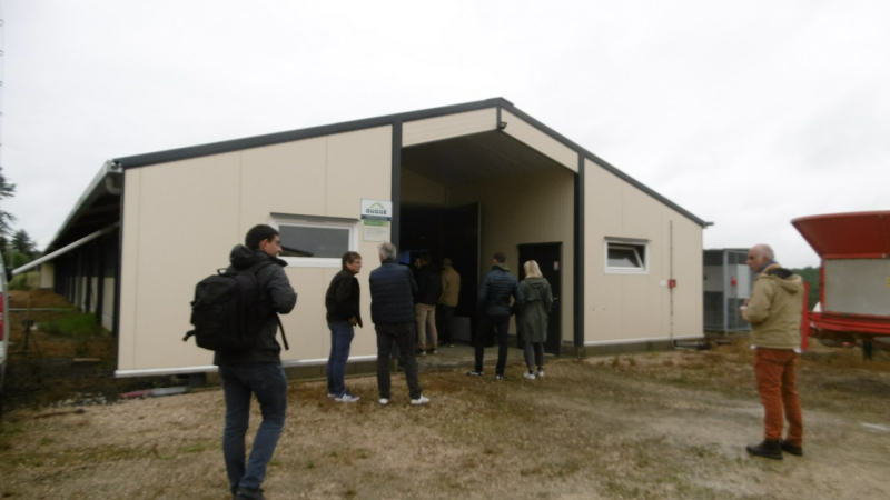Euralis mobilisé pour redynamiser  la filière volailles