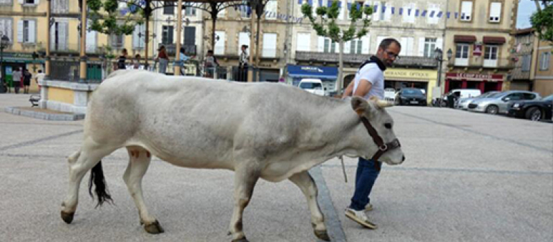Une belle Mirandaise sur la place d’Astarac.