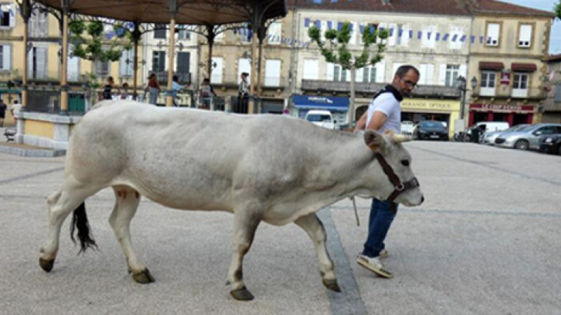 Une belle Mirandaise sur la place d’Astarac.
