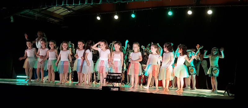 "Femme Flamme Révolution", le spectacle de fin d'année de Chorégra'Vic
