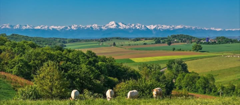 OCCITANIE : le grand retour de la ruralité est inéluctable
