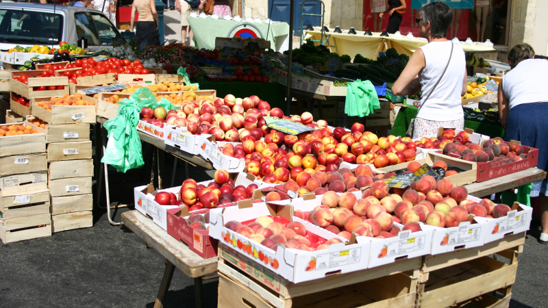 Ligue contre le cancer : lettre ouverte au sujet de la Stratégie nationale pour l’alimentation, la nutrition et le climat (SNANC)