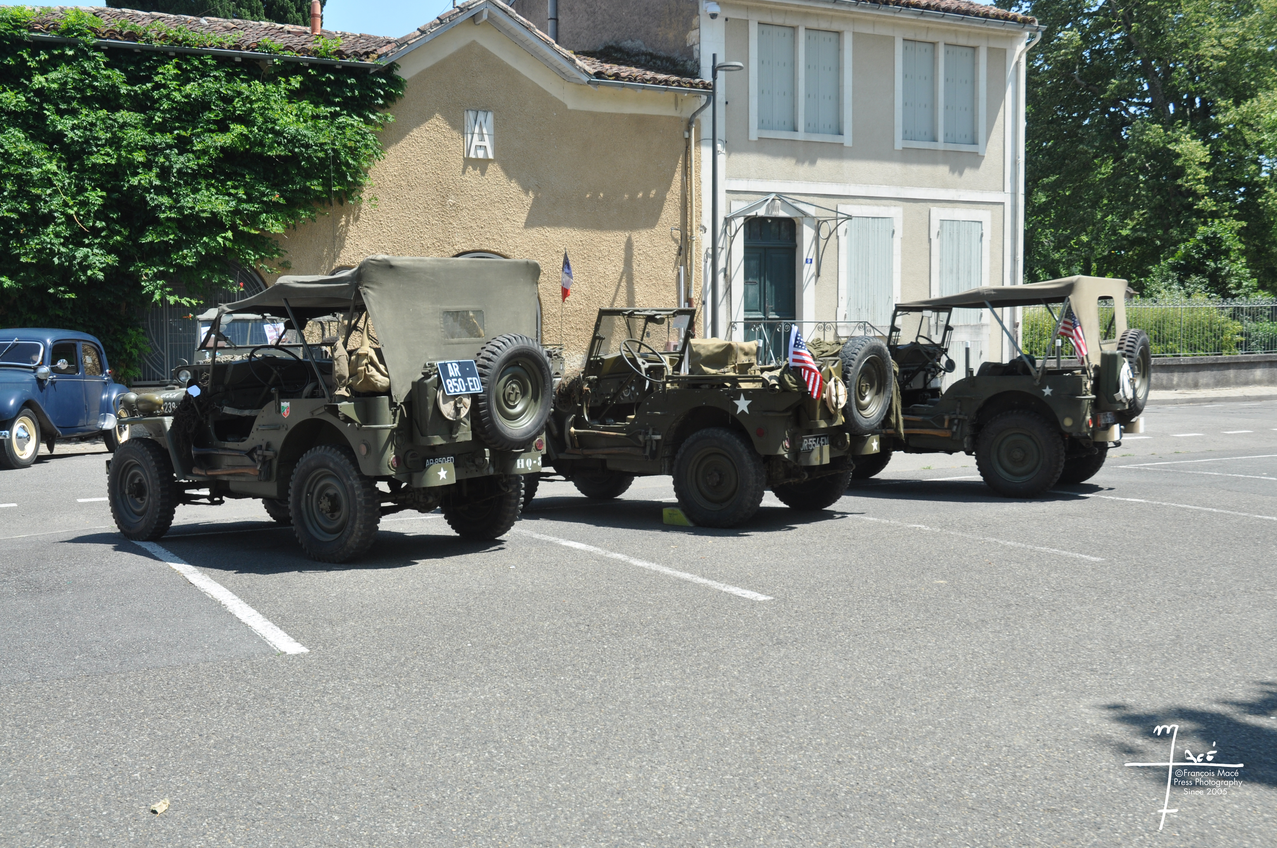 DSC_0517.jpg
