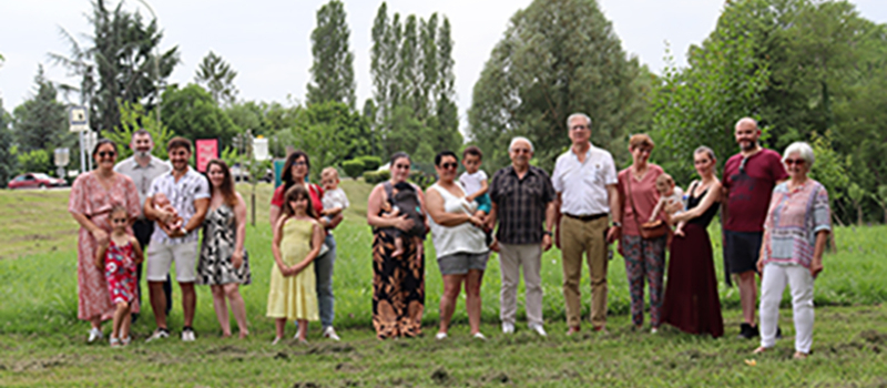 Une naissance, un arbre