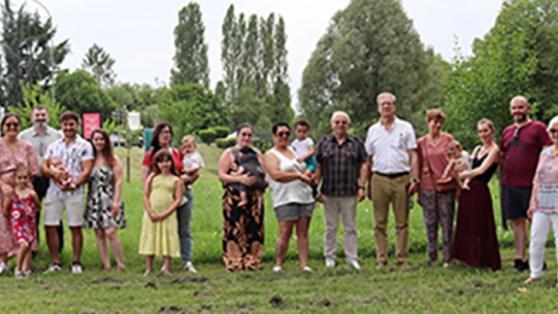 Une naissance, un arbre