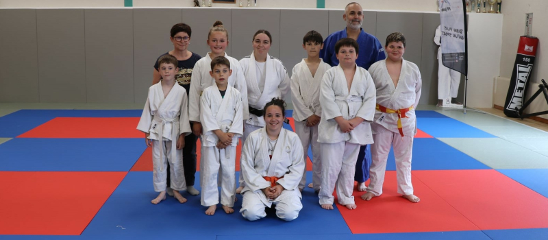 Judo club miélanais, ceintures colorées
